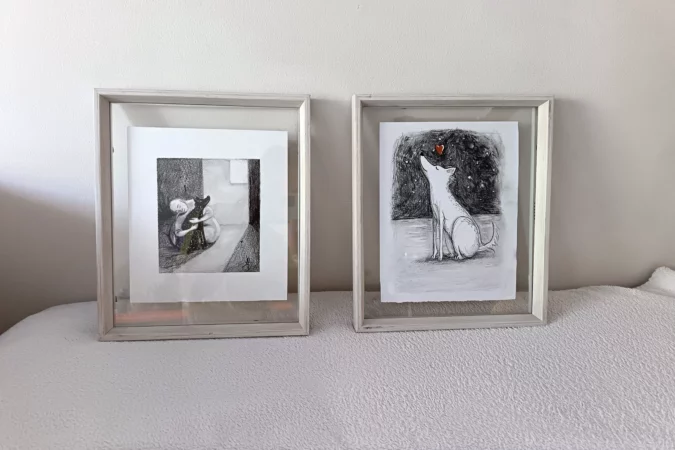Dogs illustrations in frames