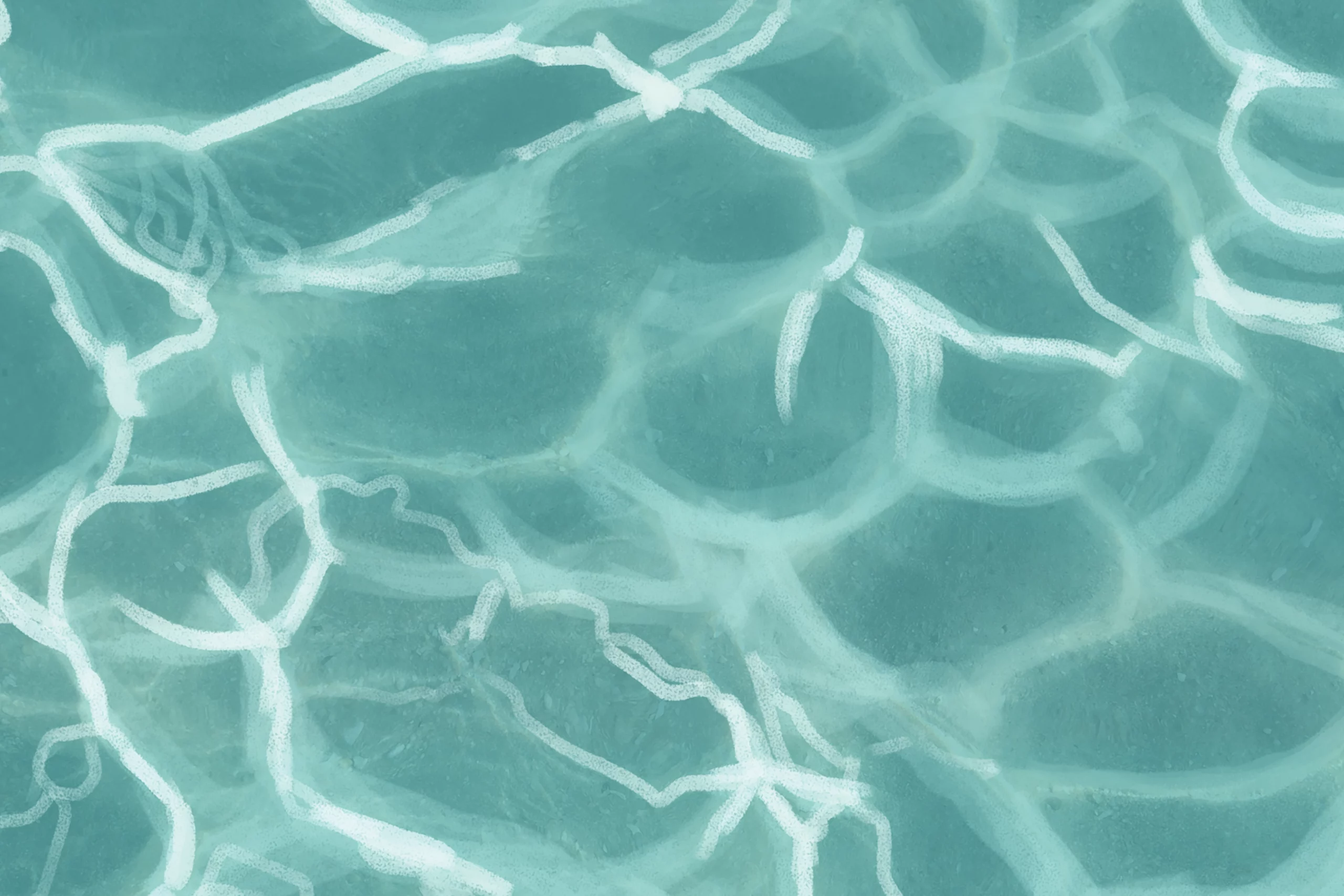 A Agua da Figueirinha